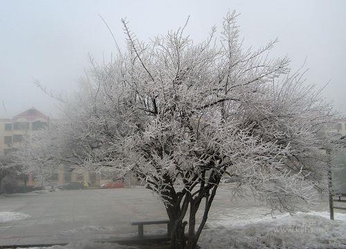 IMG_6575.jpg