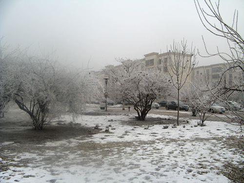 IMG_6570.jpg
