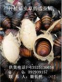 u=1613822999,104346711&fm=21&gp=0.jpg