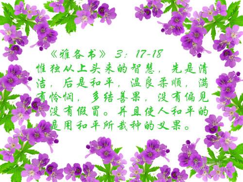 292-1102230KQ779_.jpg