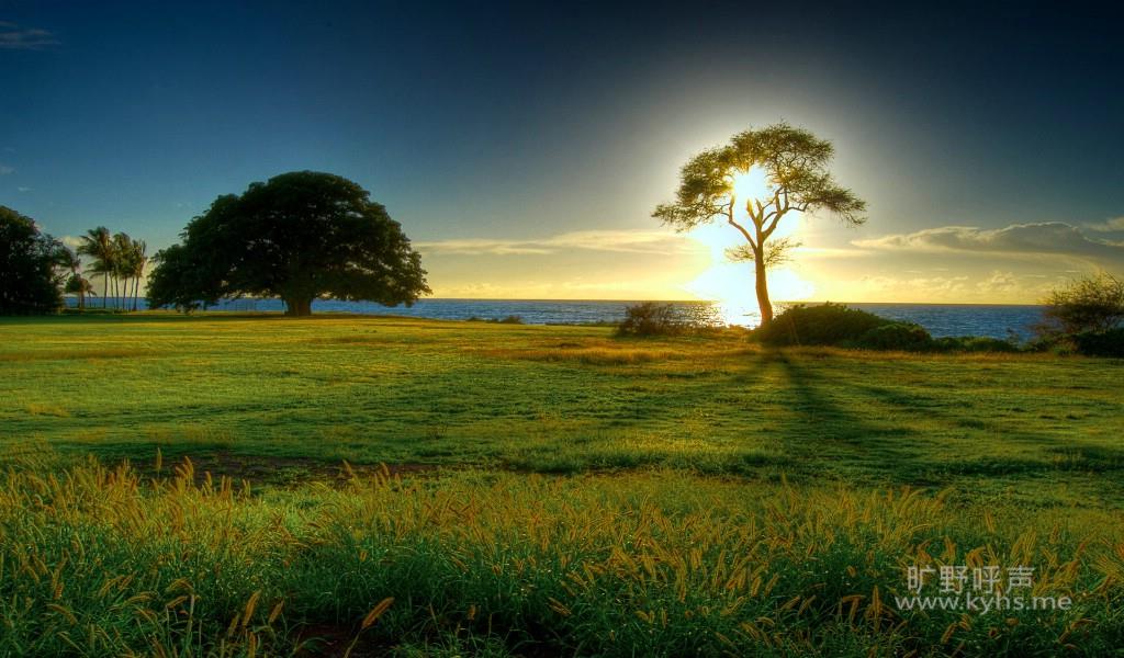 nature_beauty_of_nature_1920x1200_1522_8.jpg