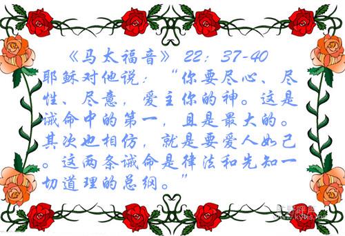 81-130G113144J28_.jpg