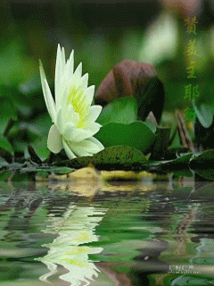 8372362966f58dafd21f0bbca4402c5a.gif