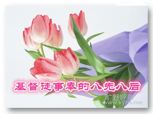 副本_副本.jpg