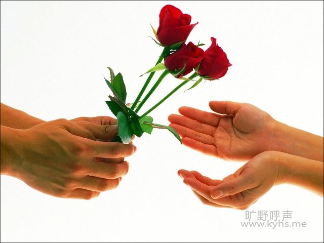 496dcc3d18a9d10440737694a2bf8f2a.jpg
