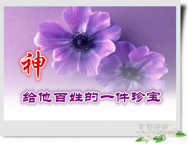 01_副本_副本.jpg