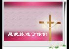 是我拣选了你们