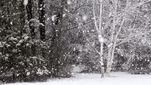 135301q2pkiysku3dobbou.gif