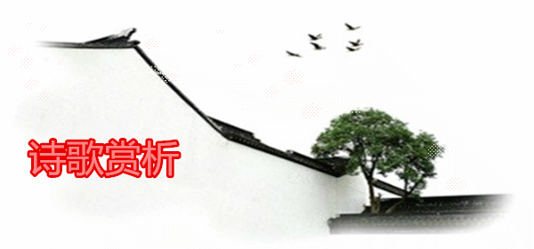 w1.gif