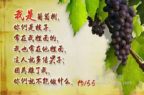 20140902210245995 (1).jpg