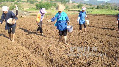 20120501101632966.jpg
