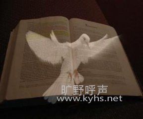t017394b1f727127ad9.jpg