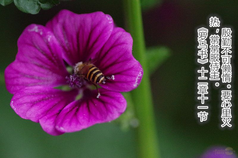 14072316095bd70b8ced13295f.jpg