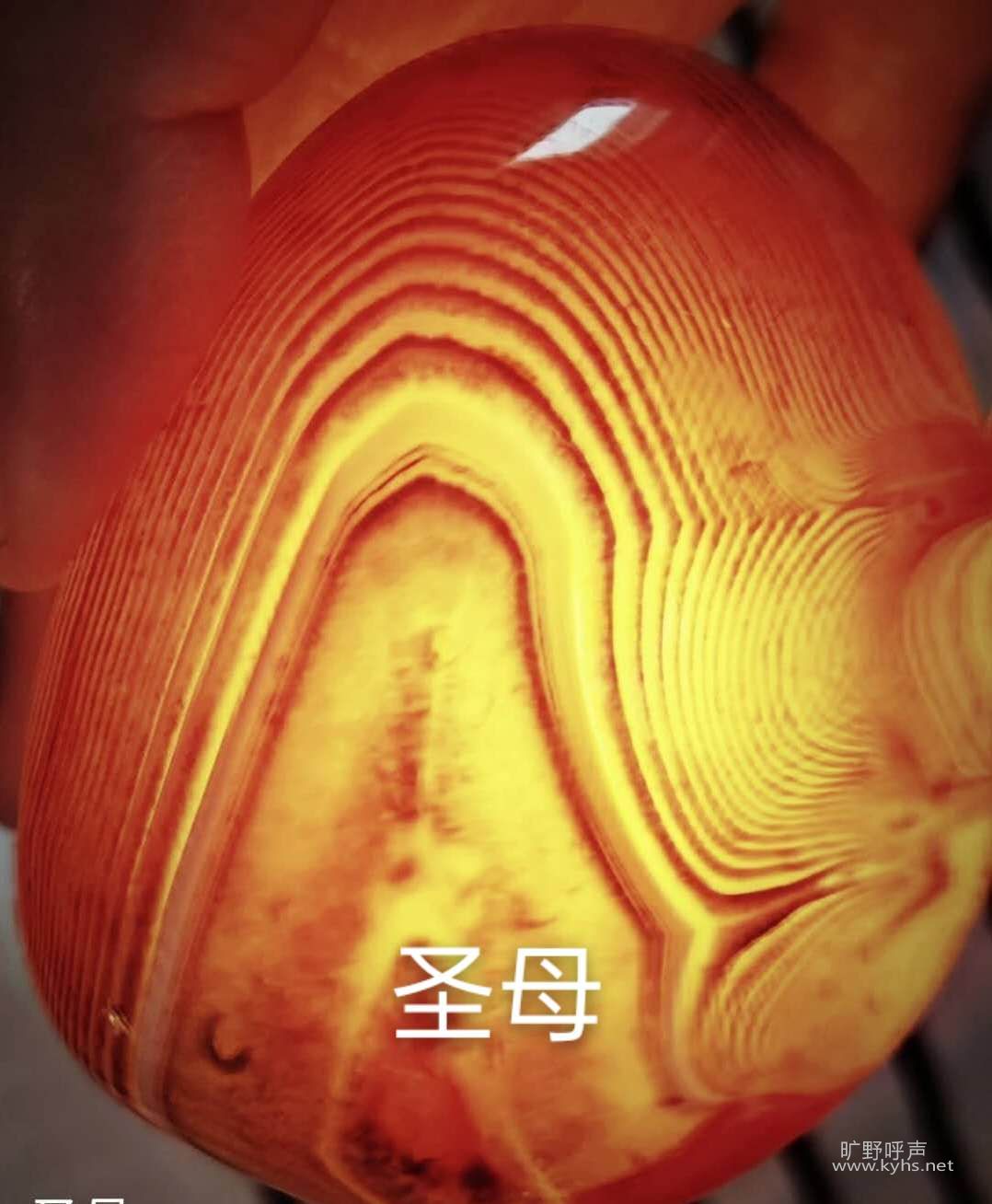 ΢ͼƬ_20200829100506.jpg