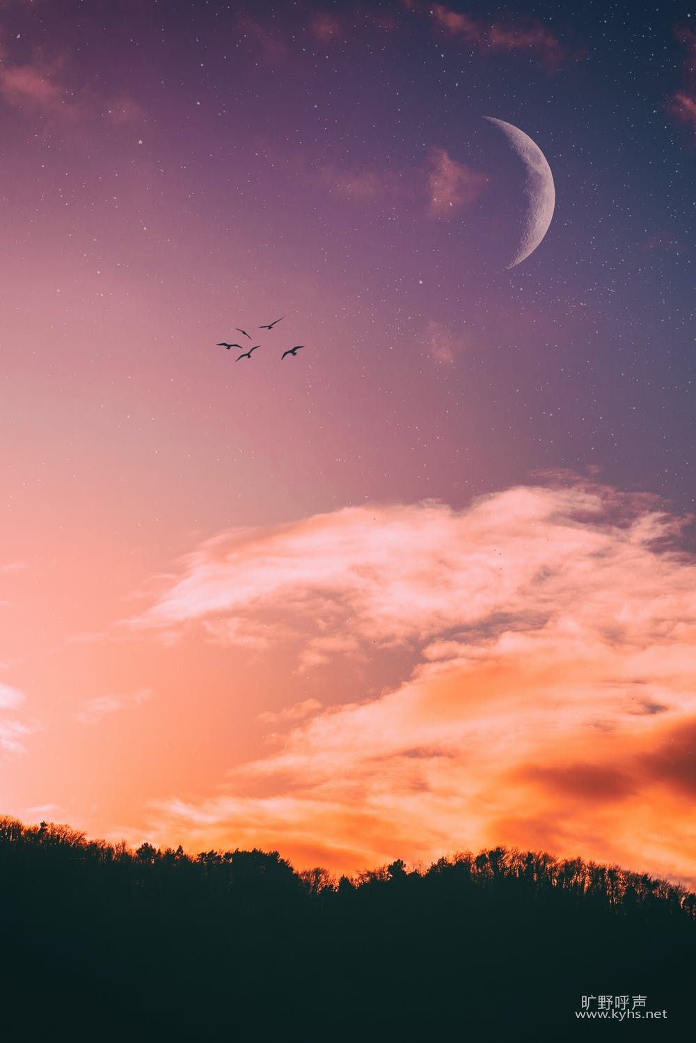 pexels-photo-1921336.jpeg