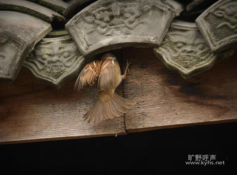 微信图片_20201216175851.jpg