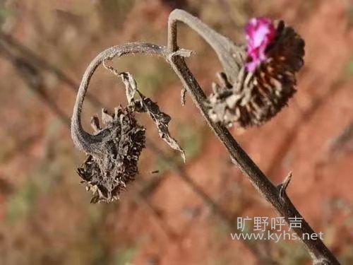 微信图片_20201223102735.jpg