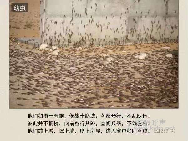΢ͼƬ_20210205190208.jpg