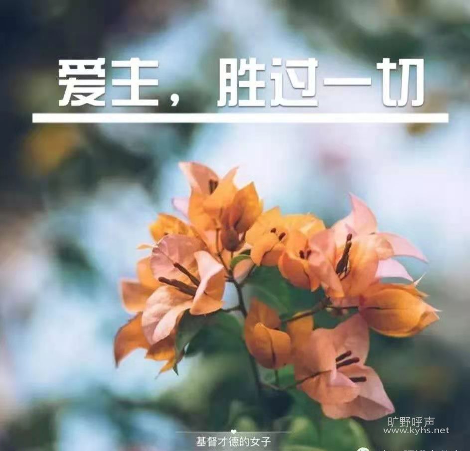 ΢ͼƬ_20210322162155.jpg