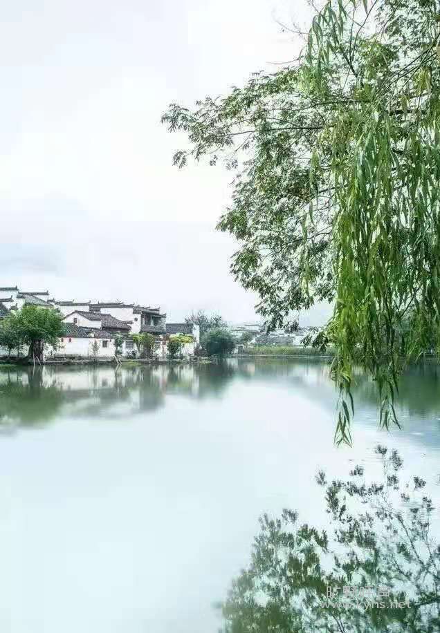 微信图片_20210524104625.jpg