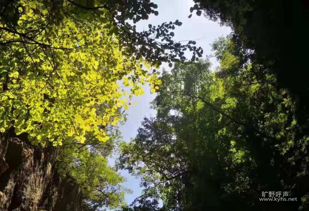 ΢ͼƬ_20210816082805.jpg