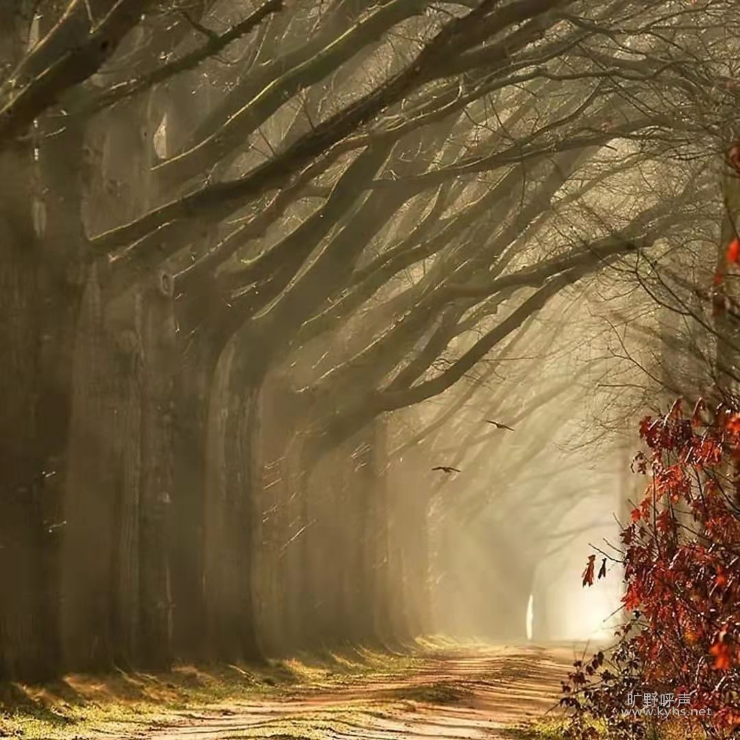 ΢ͼƬ_20211106195230.jpg