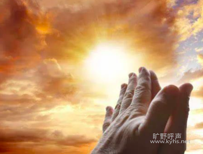 截屏2023-02-03 下午6.18.59_副本.png