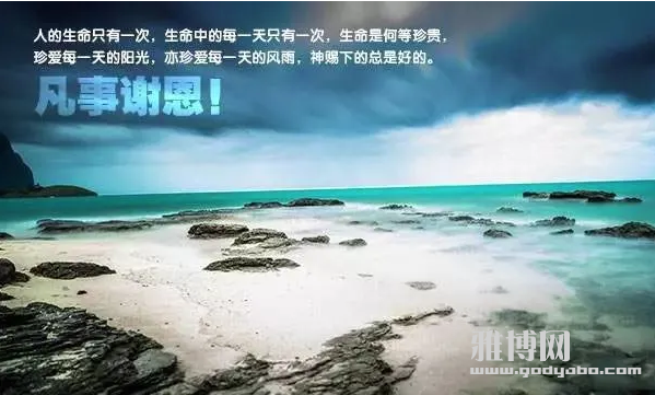 截屏2024-06-23 12.51.42.png