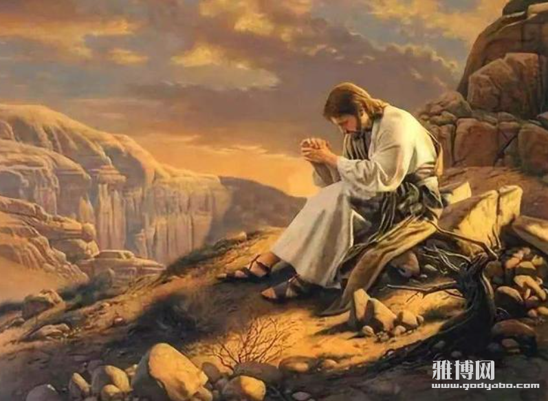 截屏2024-06-09 10.40.46.png