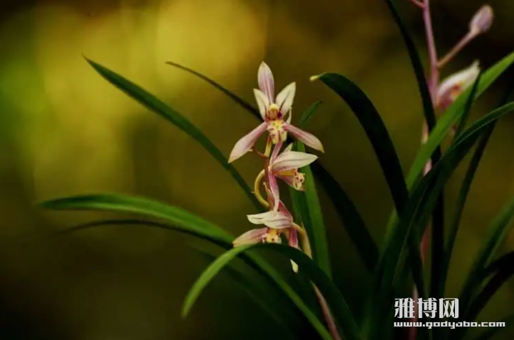 截屏2024-06-23 23.19.59.png