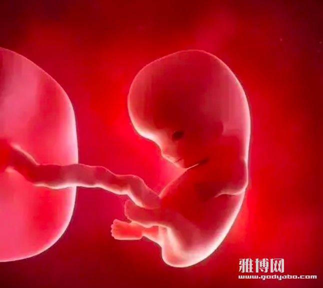 截屏2024-07-06 18.30.30.png