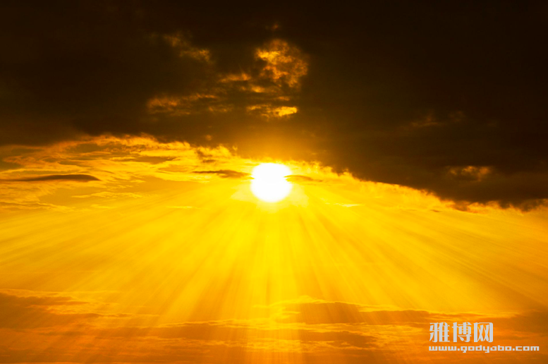 截屏2024-12-29 18.33.13.png