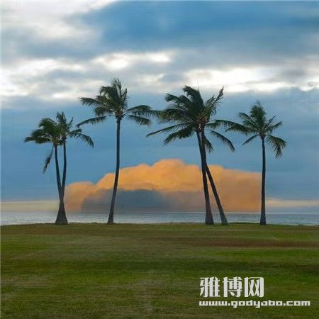 微信图片_20250506132949.jpg