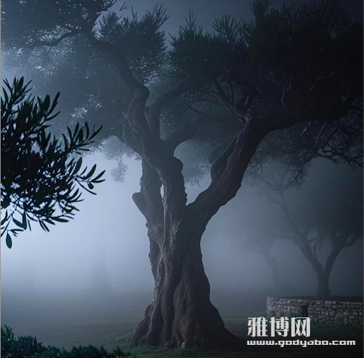 截屏2025-05-30 16.56.40.png