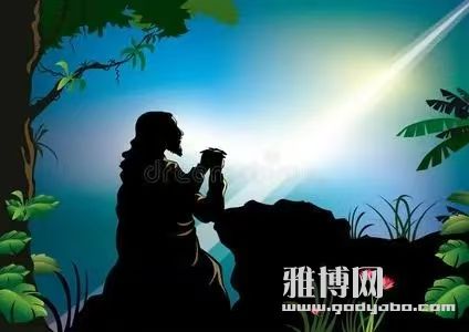微信图片_20250513132703.jpg