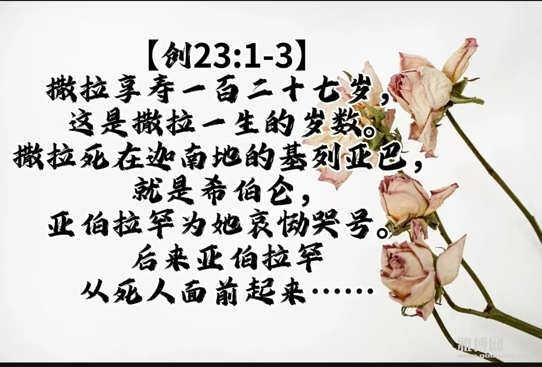 微信图片_20250728095534.jpg