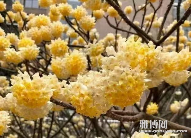 微信图片_20250709051253.jpg