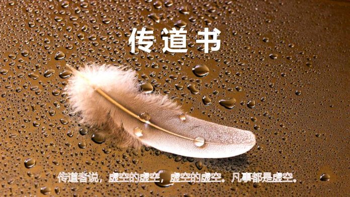 顷11.jpg