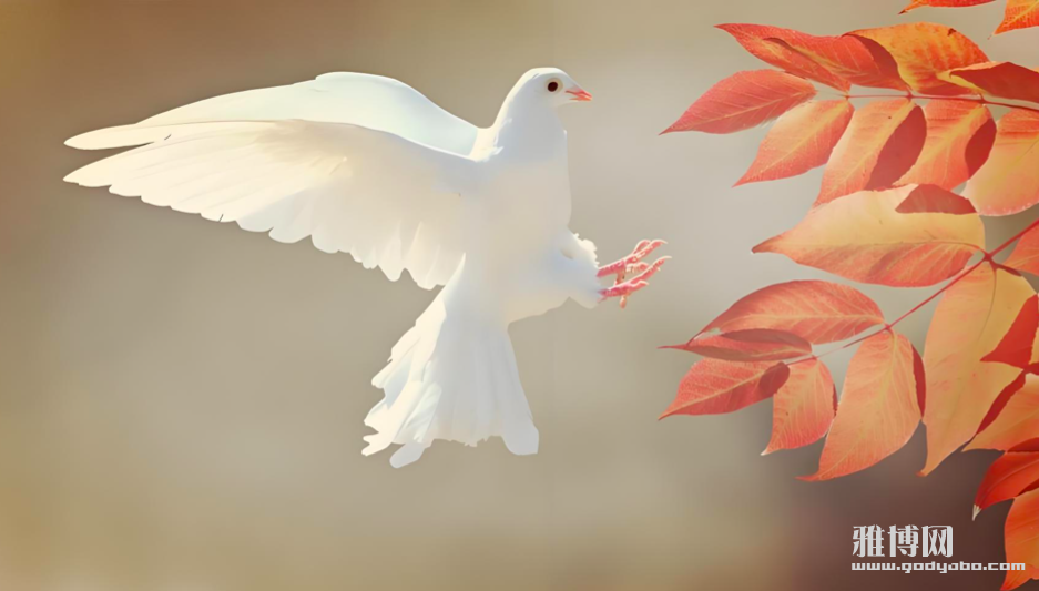 截屏2025-08-04 09.09.22.png