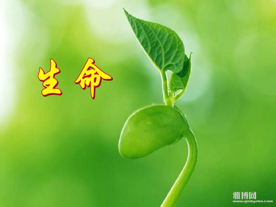  Ƹ