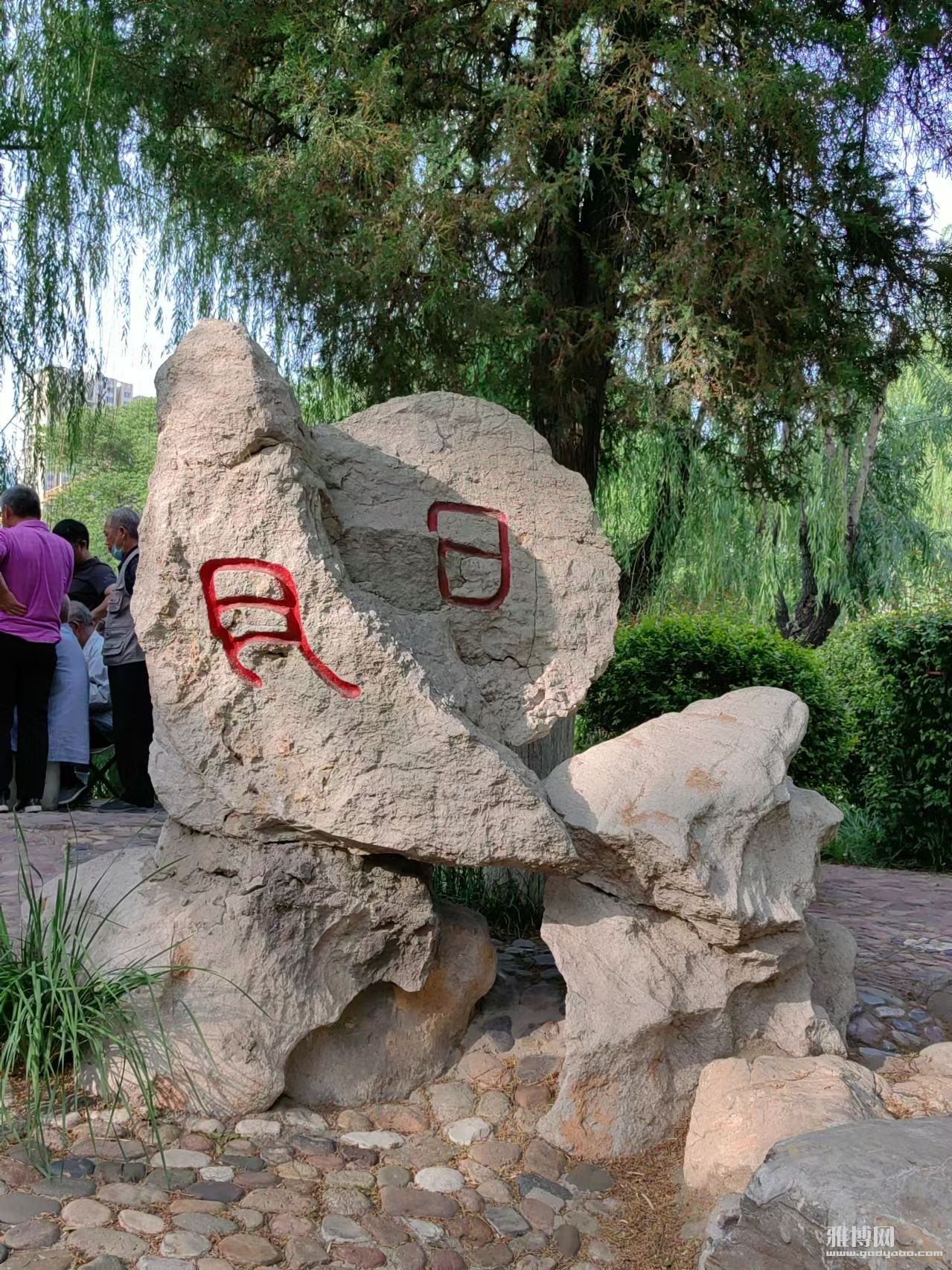 .jpg