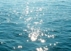 ܿȻİ