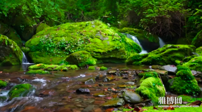 2025-11-16 16.31.14.png