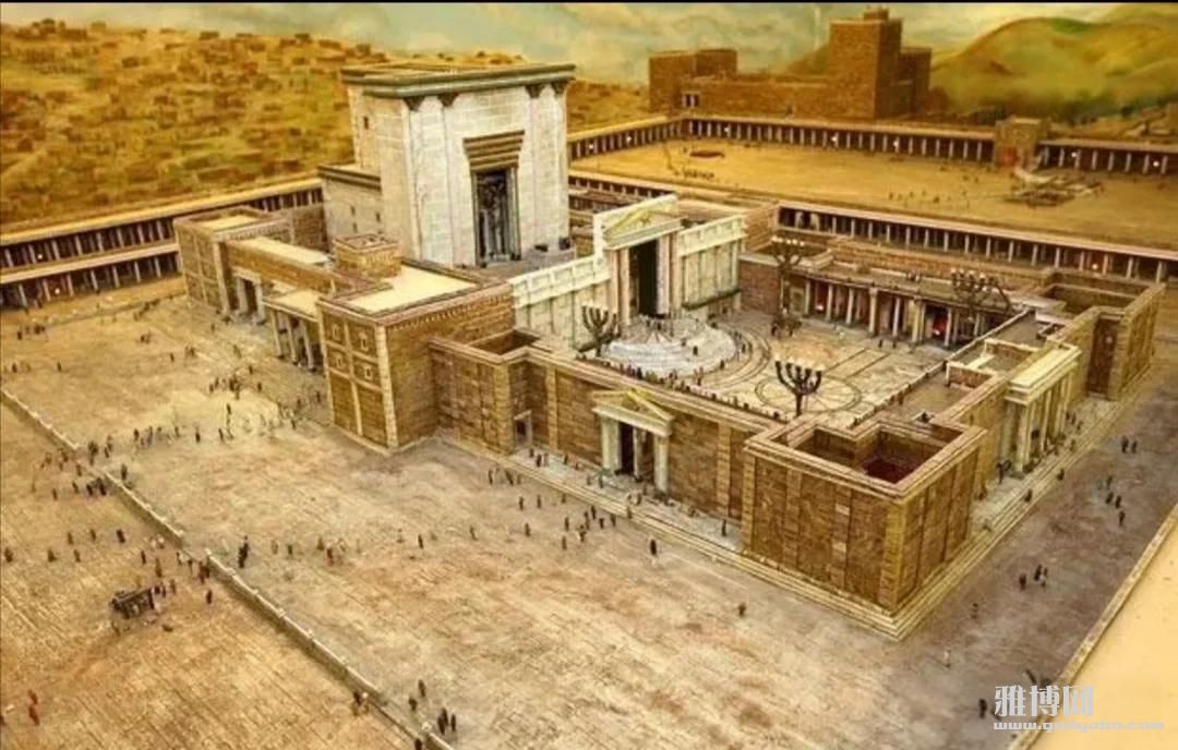 �ӽ��쿴�����ŵ����