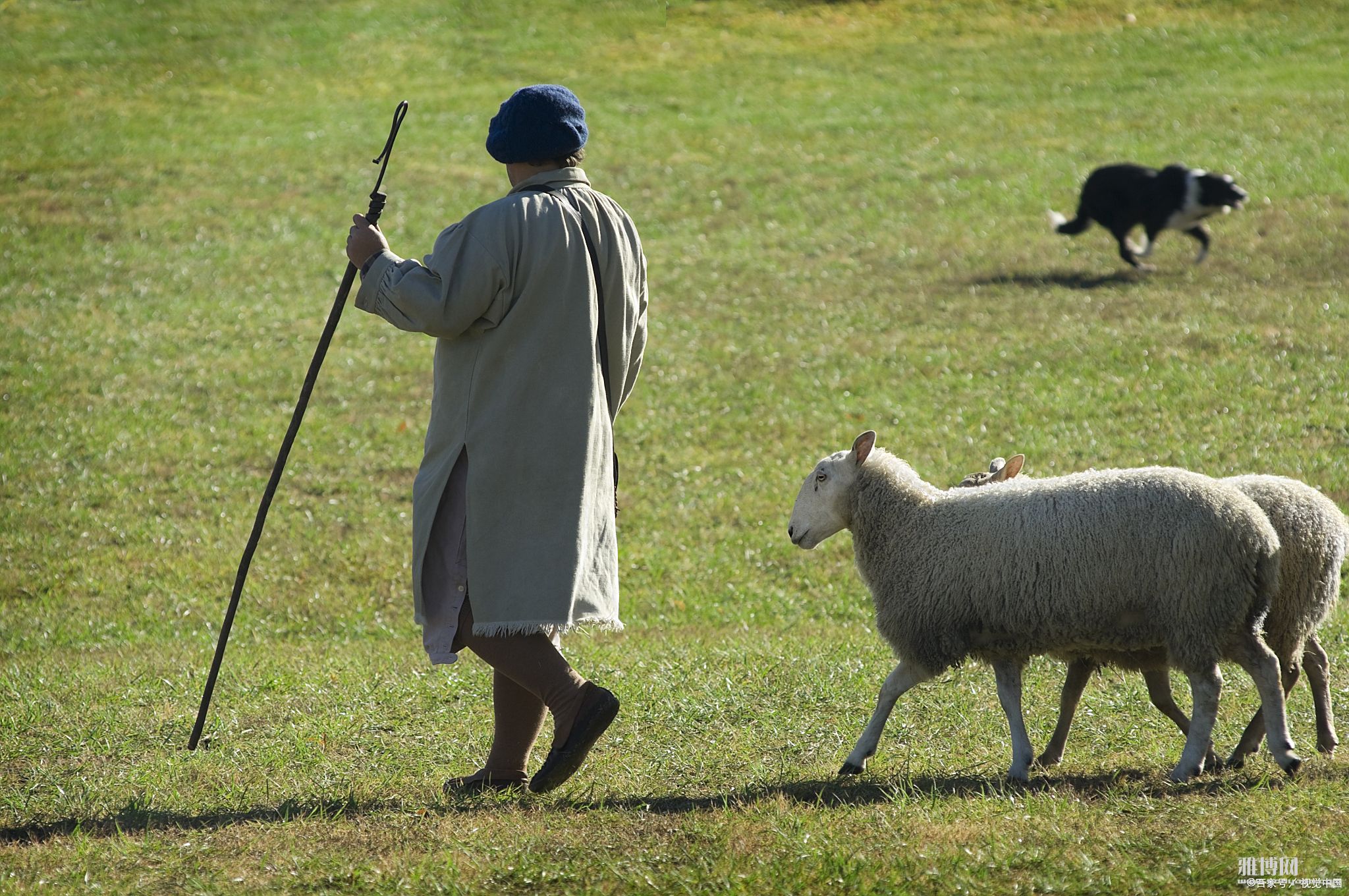 082507aa3bec2adac106634e634161a3.jpg@wm_1,k_cGljX2JqaHdhdGVy