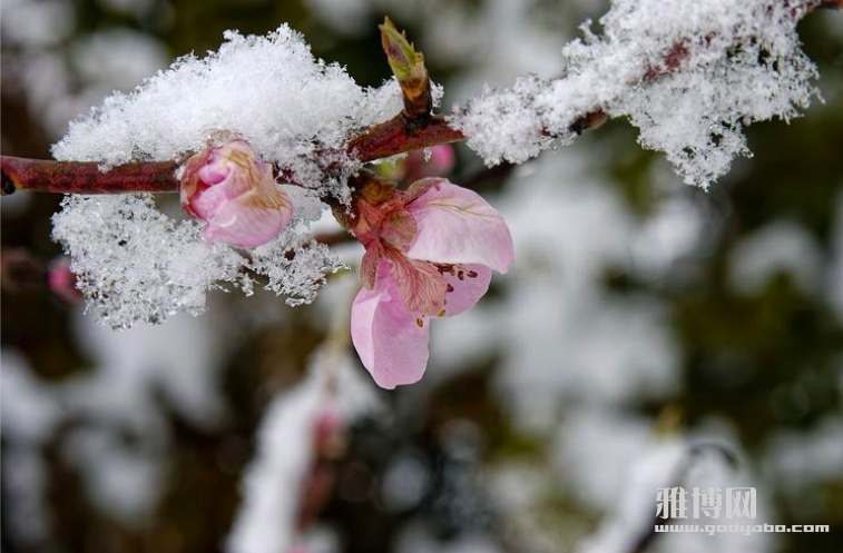 截屏2025-12-08 09.37.14.png