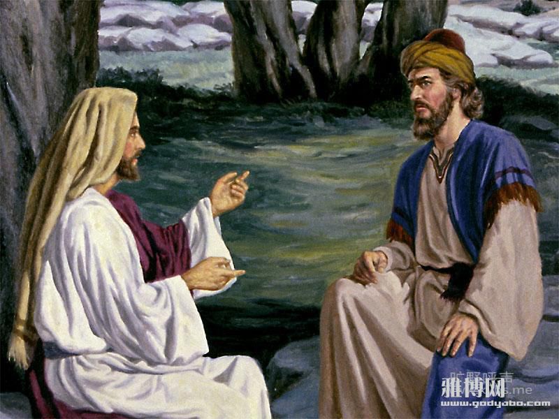 ����ĸVS�������Ǹ���