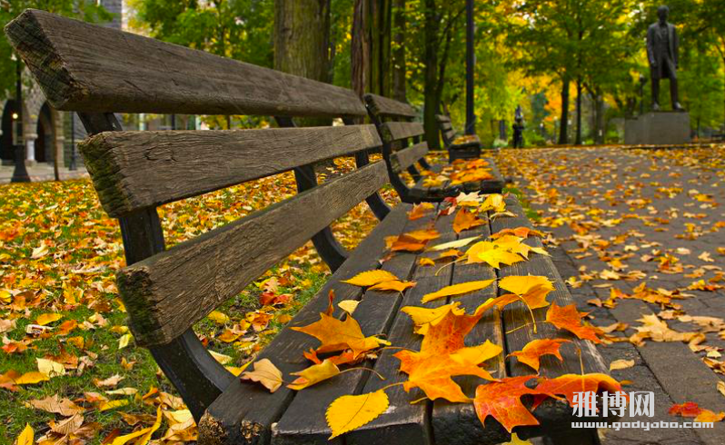 ����2026-01-23 17.01.57.png