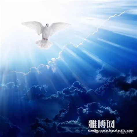 ������ľ���