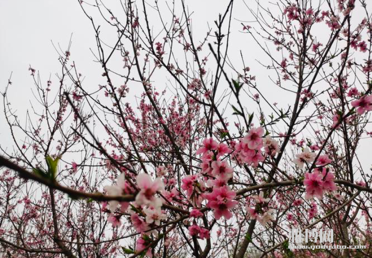 ����2026-02-07 09.59.31.png